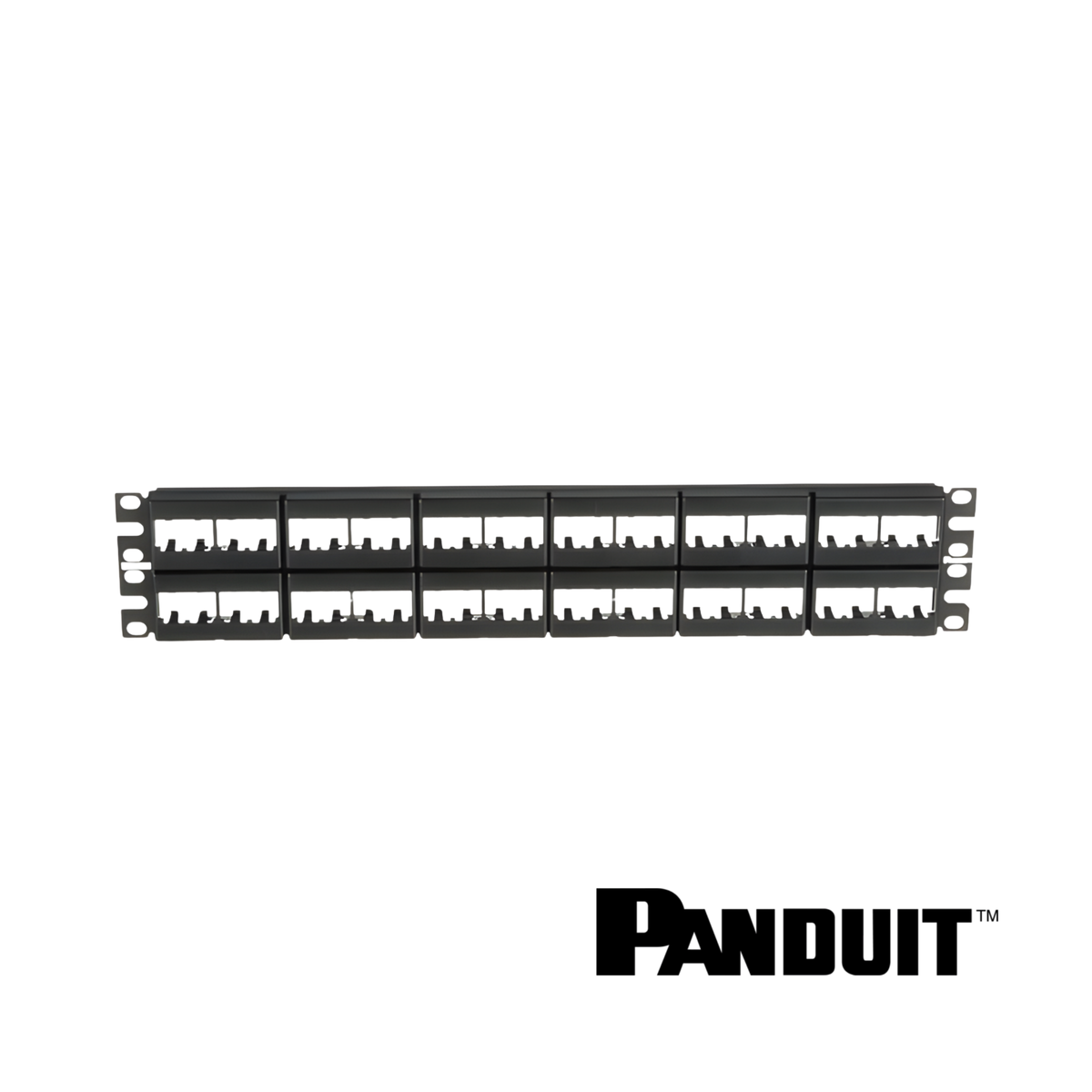 Image of PANDUIT Mini-Com® Modular 48-Port Patch Panel | Unloaded | 2RU + Label (PT-CPP48WBLY)