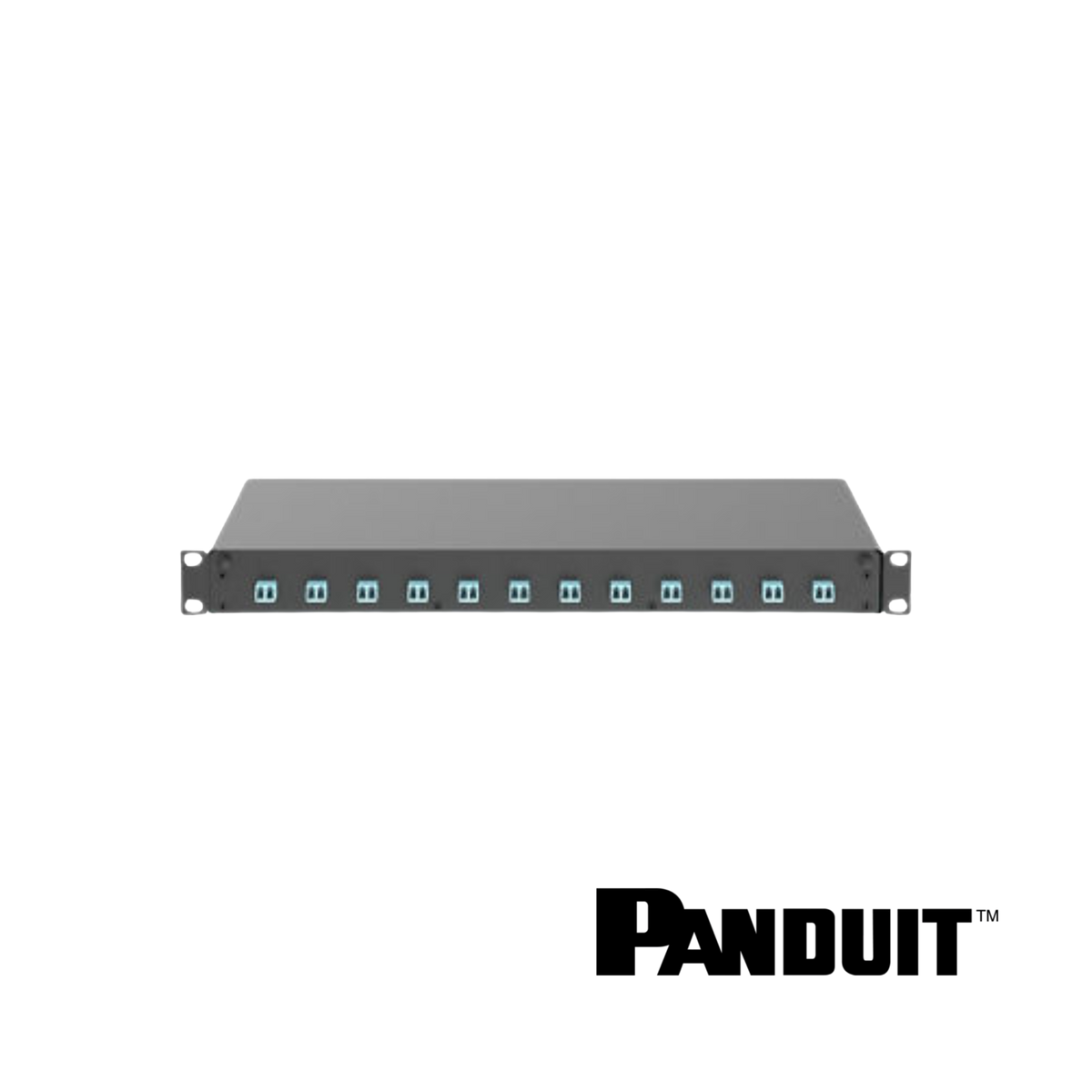 Image of PANDUIT Opticom® Fibre Optic Patch Panel | Selector (PT-FD1W12AQDLCZ)