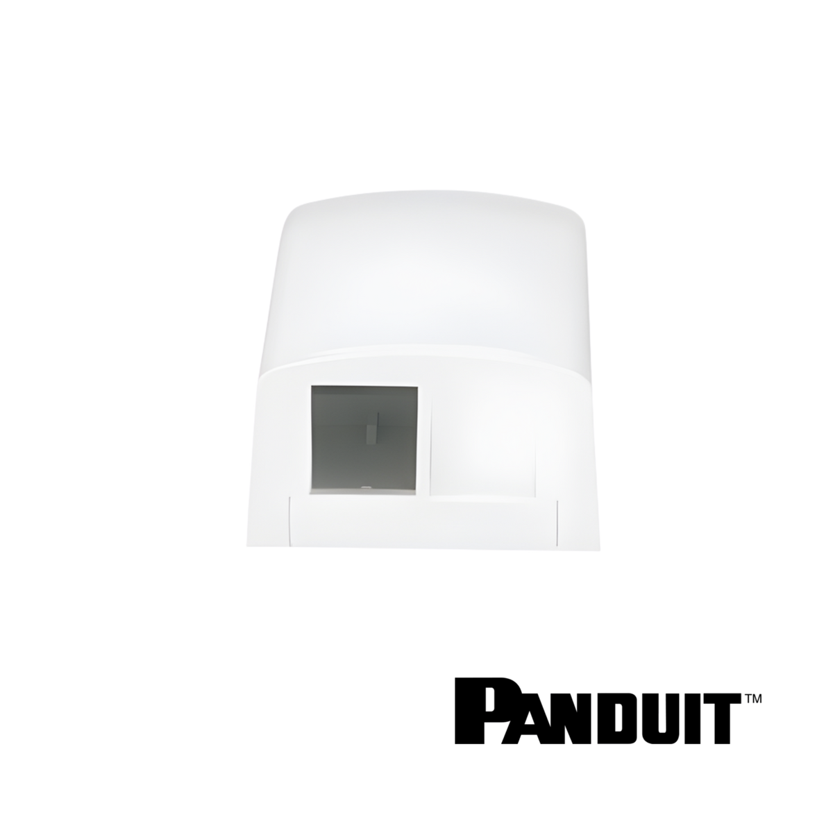 Image of PANDUIT NetKey 2-Port Surface Mount Box (PT-NK2BXWH-A)