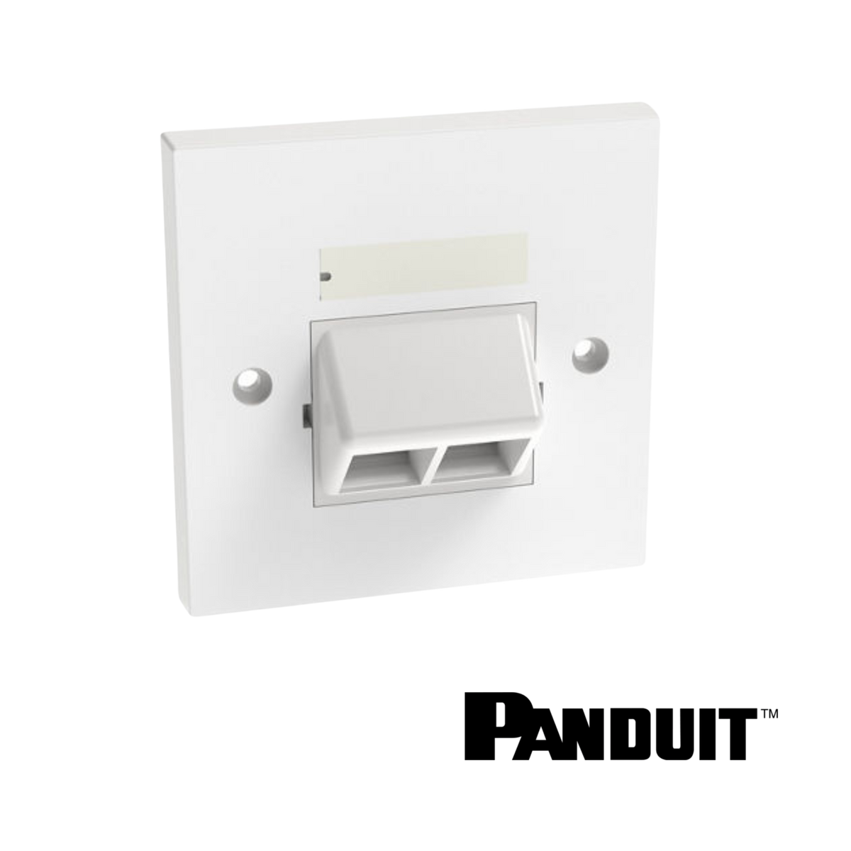 Image of PANDUIT NetKey 2-Port Sloped Faceplate 86mm x 86mm | White (PT-NKUKS2AW)